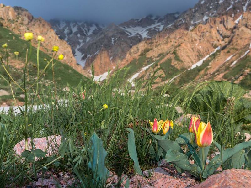 Spring trip to the mountain village of Urgut 