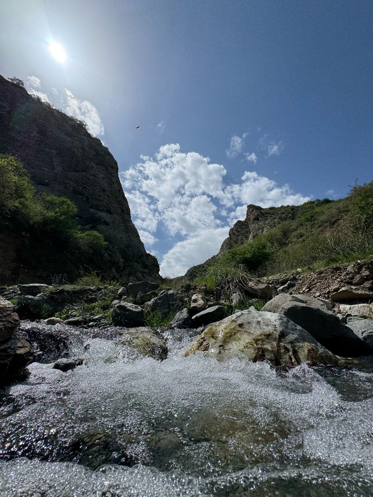 THE LAND OF PILAF AND THE BLAZING SUN